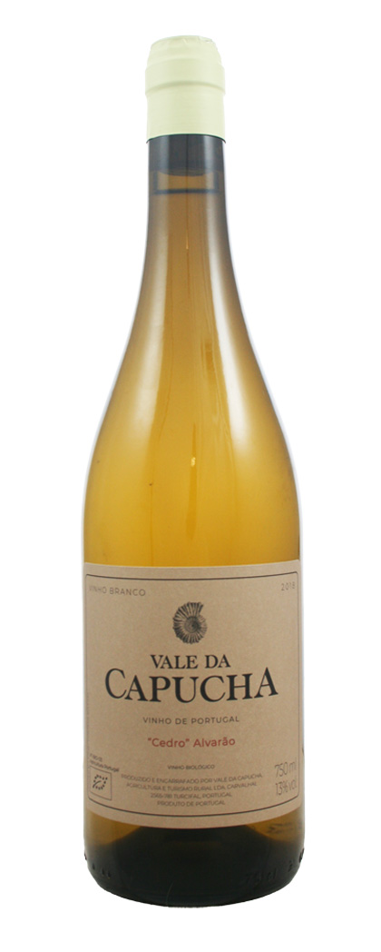 VALE DA CAPUCHA, ALVARINHO CEDRO